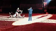 Cavadelis fait salle comble aux arènes Juan Bautista