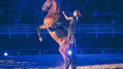 Cavadelis : le show équestre revient le 26 juillet à La Grande-Motte