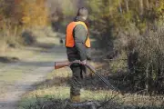 Chasse : quatre morts, le plus bas historique en 2025-2026