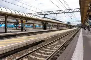 Chat décapité par un TGV à Paris : le propriétaire accuse la SNCF