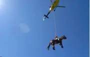 Cheval blessé hélitreuillé en Andorre : vidéo virale à 7 millions de vues