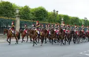 Chevaux de la Garde républicaine : dressage à la maîtrise de la peur