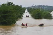 Chine : 800 serpents s'échappent d'une ferme inondée, stocks d'antivenin augmentés