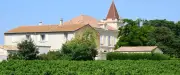 Château de La Peyrade : dégustation de muscat de Frontignan cet été