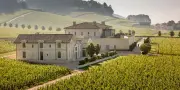 Château Pavie : un vignoble devenu attraction touristique à Saint-Émilion