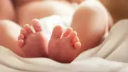 Cinq bébés retrouvés morts à Orange : la mère placée en garde à vue