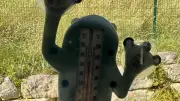 Clermont-l'Hérault ouvre un lieu climatisé face à la canicule