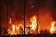 Climat : incendies au Figaro, le déni idéologique jusqu'à l'absurde