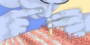 Cocaïne : ravages dans les métiers physiques, pas seulement chez les cadres