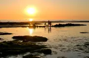 Comment récupérer psychologiquement pendant les vacances ?