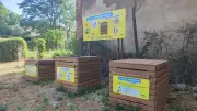 Compost partagé : trois bacs installés place Balard à Salindres