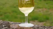 Concours de cocktails au Festival du Muscat de Frontignan