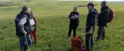 Concours des prairies d'estive de l'Aubrac : biodiversité et qualité fourragère
