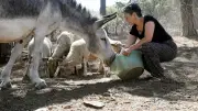 Corbières : un an après le méga feu, la renaissance par la vigne et la diversité
