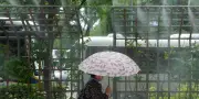 Corée du Sud : première alerte maximale pour canicule