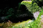 Cours d'eau verts à Antibes et Cannes : algues ou pollution ?