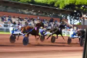 Courses hippiques à Hyères ce dimanche 12 juillet : pronostics et animations