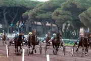 Courses hippiques semi-nocturnes à Hyères ce dimanche 19 juillet