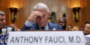 Covid-19 : le calvaire d'Anthony Fauci au Sénat américain
