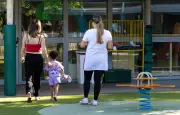 Crèche clandestine à Yerres : 12 enfants entassés dans une voiture