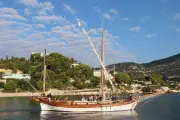 Croisières pédagogiques pour observer les dauphins à Saint-Jean-Cap-Ferrat