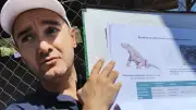 Dalle de la Lieude : un millier de traces fossiles de thérapsides à Mérifons