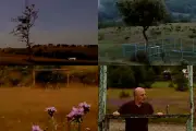 Dans «Dry Leaf», Koberidze emporte par l'avant