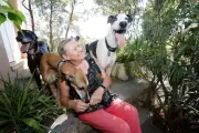 Dans le Var, l'élevage familial Bakara's Greyhound produit des champions depuis 1985