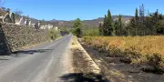 Dans les Pyrénées-Orientales, des producteurs de fruits en grande détresse après le passage du feu