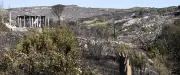 Débroussaillement à Frontignan : l'arme clé contre les incendies