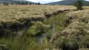 Découverte des tourbières de Lajo : une balade en espace naturel sensible
