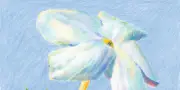 De la lavande à la tubéreuse : ces fleurs qui embaument l'été