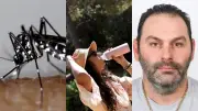 Dengue, chaleur, disparition : l'actu en région