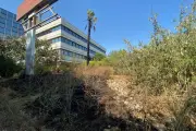 Deux feux de broussailles maîtrisés à Hyères ce samedi