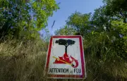 Deux individus déférés pour incendies volontaires dans le Var