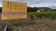 Domaine Belles Pierres : musique, théâtre et dégustations tout l'été