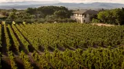 Domaines Paul Mas : l'expérience du luxe rural en Languedoc