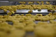 Du poulet de la poule au pot au nugget : une histoire fascinante