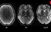 Effet Stroop : comprendre notre cognition à travers mots et couleurs