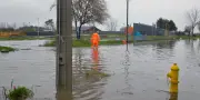 El Niño dévaste l'Amérique du Sud : inondations et sécheresse