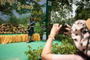 En Asie du Sud-Est, le durian victime de son succès fou