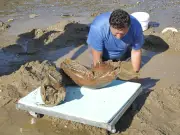 En Bulgarie, la sécheresse du Danube révèle des ossements de mammouth