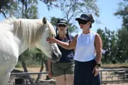 En Camargue, des businessmen évalués au contact des chevaux