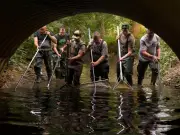 En Charente-Maritime, des pêcheurs sauvent des poissons asphyxiés par la sécheresse