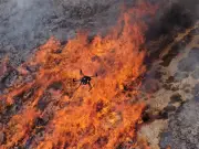 En Corse, un drone anti-feux révolutionne la lutte contre les incendies