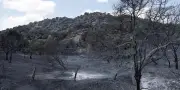 En Espagne, solidarité et concorde politique face aux incendies
