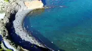 En Méditerranée, les poissons fuient la chaleur vers le sud et les eaux peu profondes