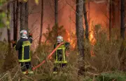 Engie débloque 25 millions d'euros pour la reconstruction des forêts