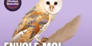Envole-moi : la chouette effraie, sentinelle des campagnes