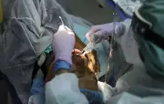 Erreur médicale : une ado opérée des dents de sagesse au lieu de la cheville